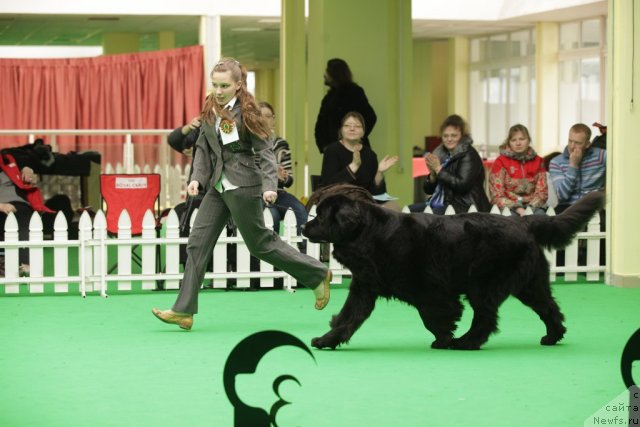 Фотография № 93940