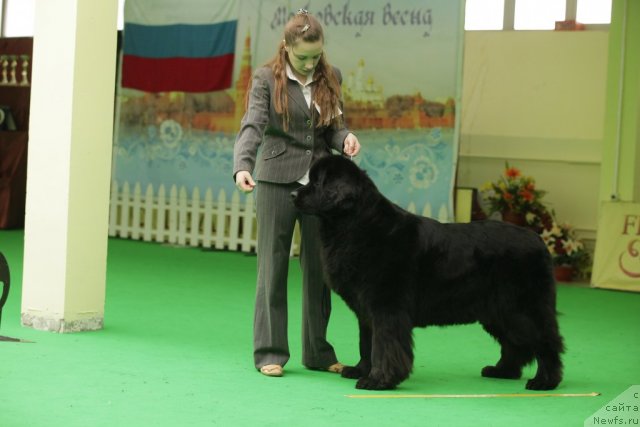 Фотография № 93943