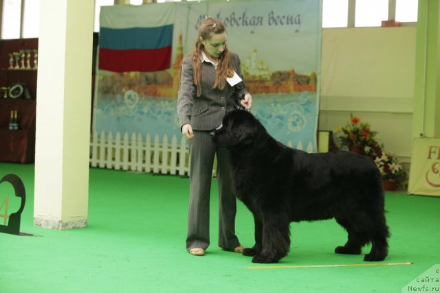 Фотография № 93944