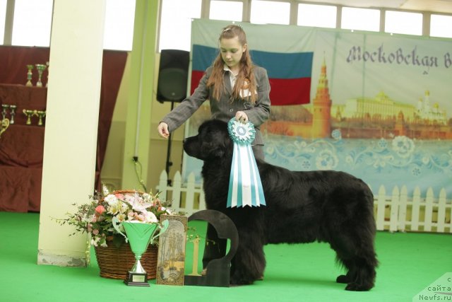 Фотография № 93945