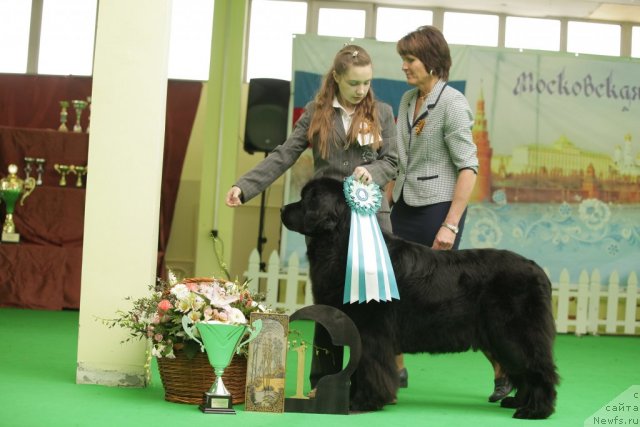 Фотография № 93946