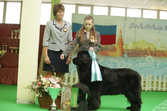 Фотография № 93947