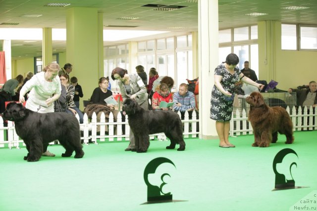 Фотография № 93948