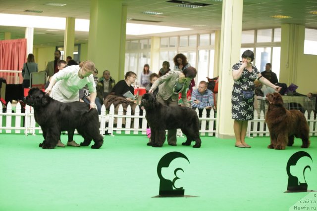 Фотография № 93949