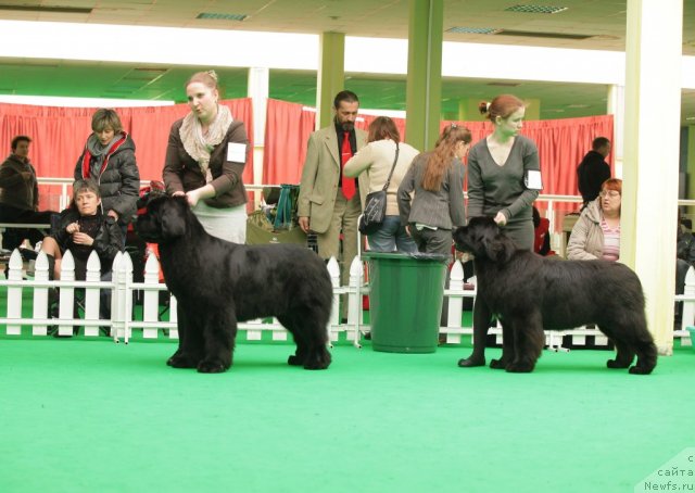 Фотография № 93950