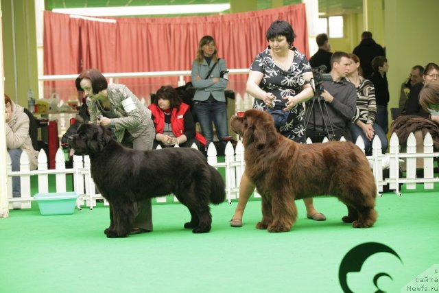 Фотография № 93953