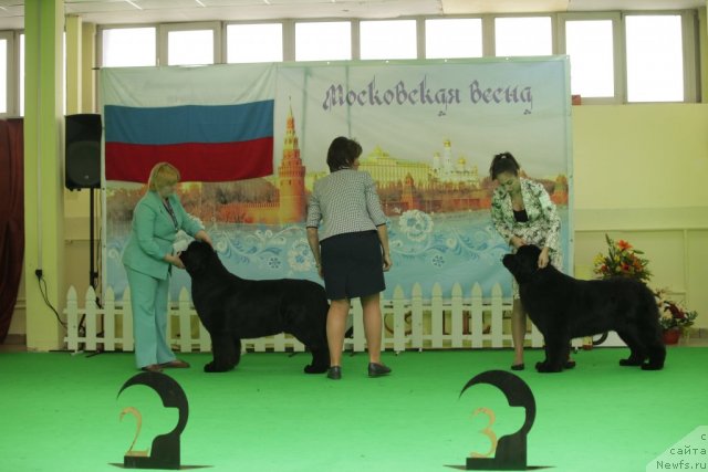 Фотография № 93954