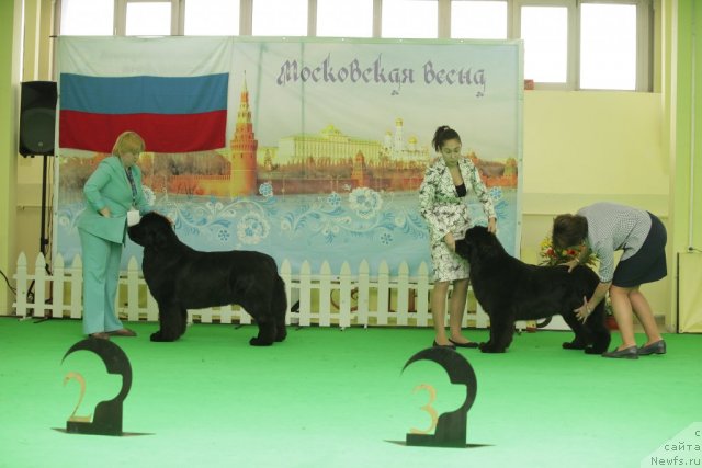 Фотография № 93955