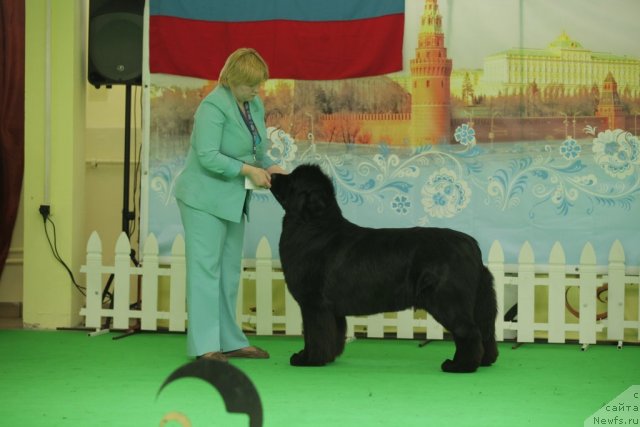 Фотография № 93956