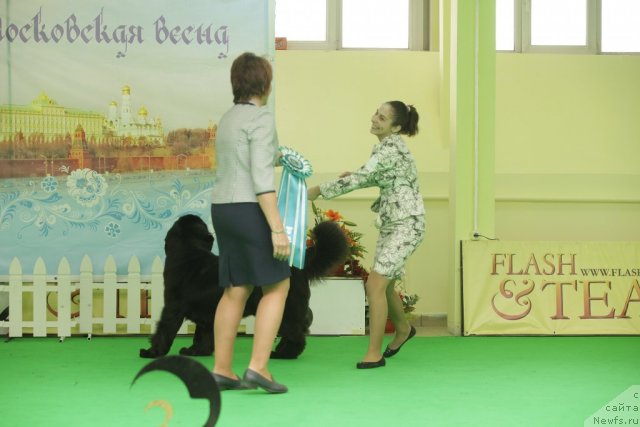 Фотография № 93957