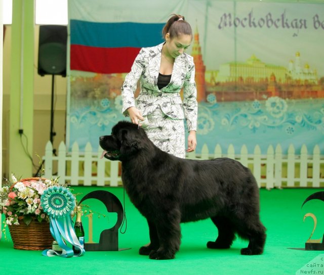 Фотография № 93958