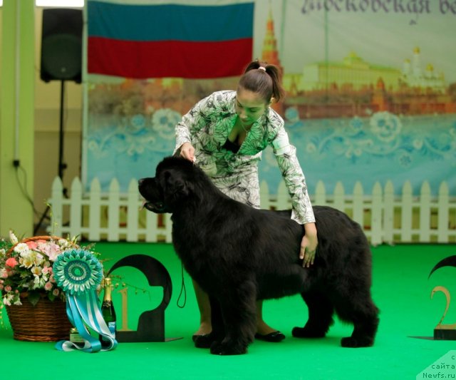 Фотография № 93965