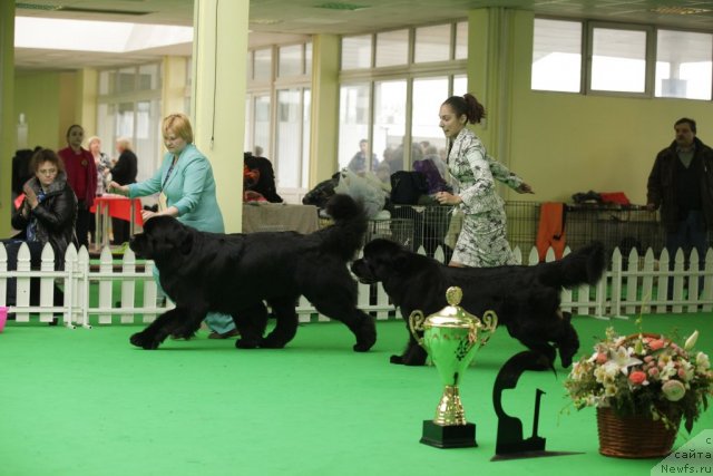 Фотография № 93968