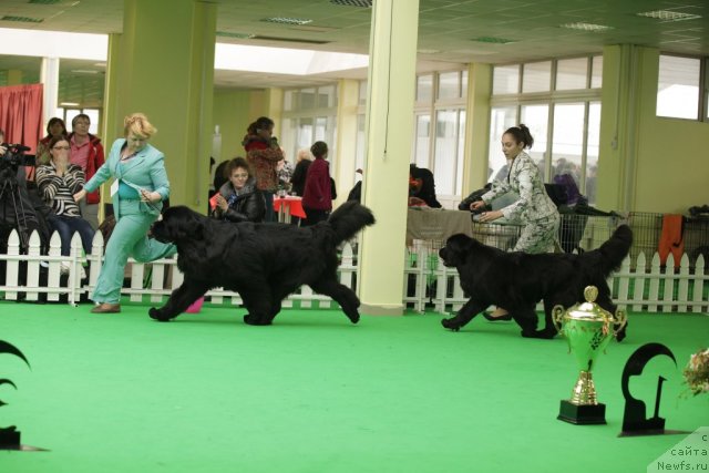 Фотография № 93969