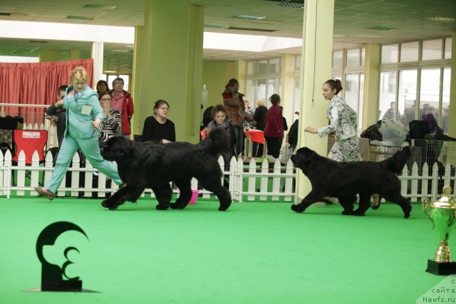 Фотография № 93970