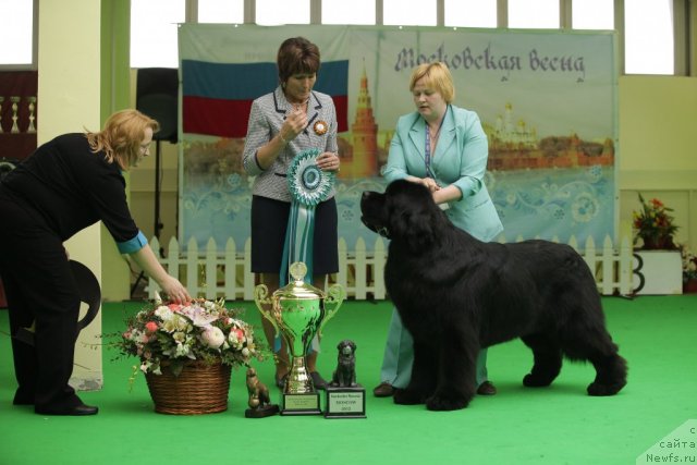 Фотография № 93971