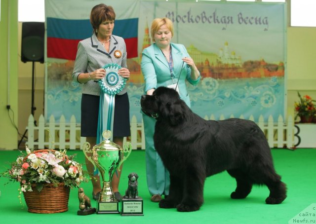 Фотография № 93974