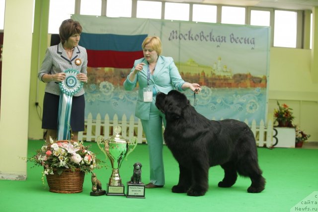 Фотография № 93975