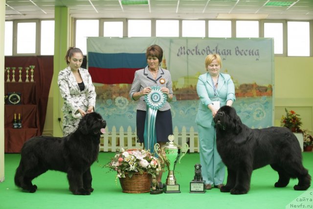 Фотография № 93976