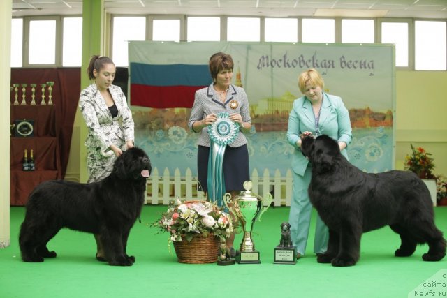 Фотография № 93977