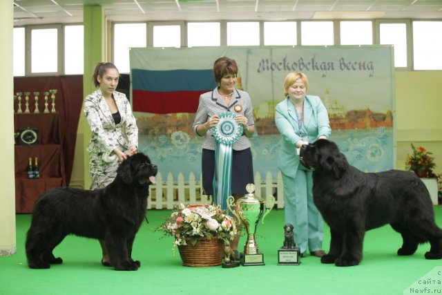 Фотография № 93978