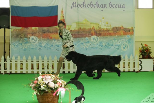 Фотография № 93980