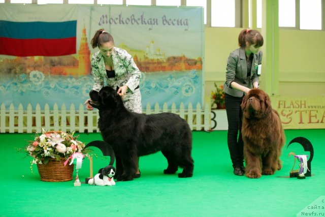 Фотография № 93983