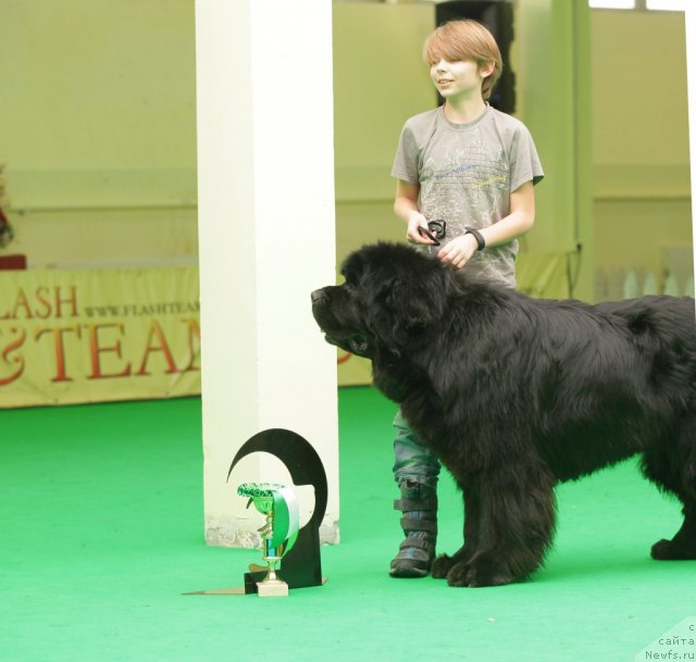 Фотография № 93988