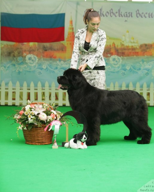 Фотография № 93989