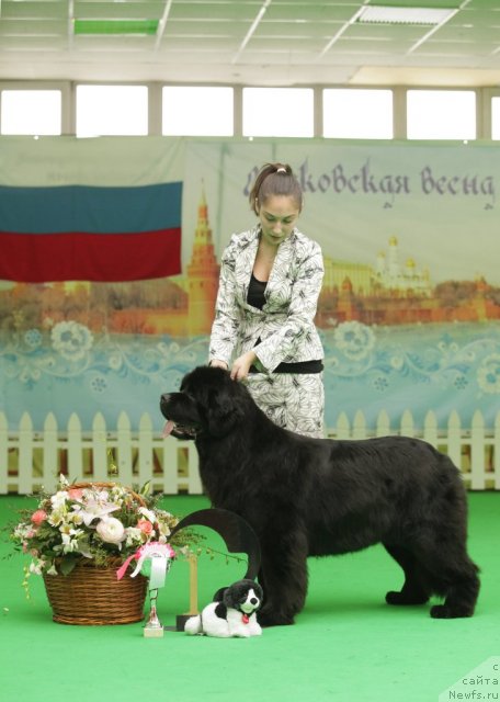 Фотография № 93990