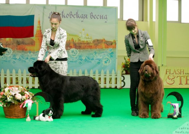 Фотография № 93994