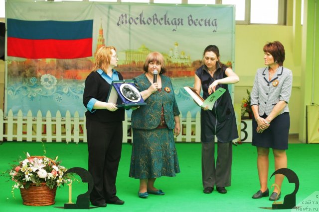 Фотография № 93995