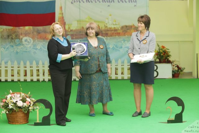 Фотография № 93999