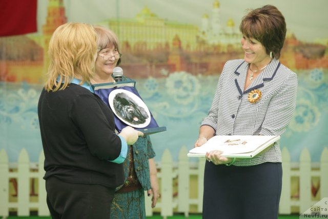 Фотография № 94000