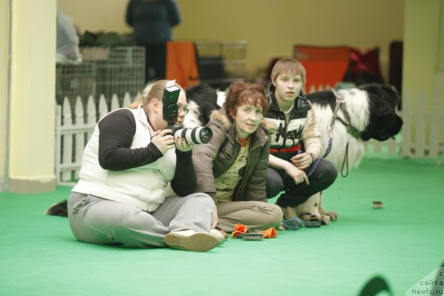 Фотография № 94004