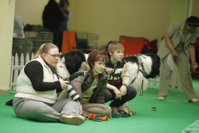 Фотография № 94005