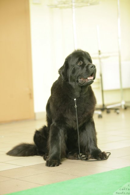 Фотография № 94007