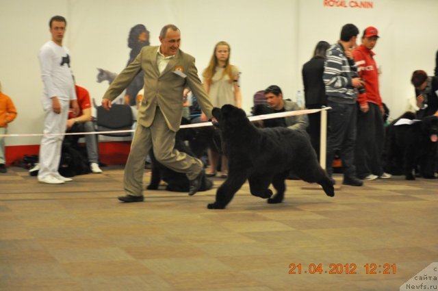 Фотография № 94019