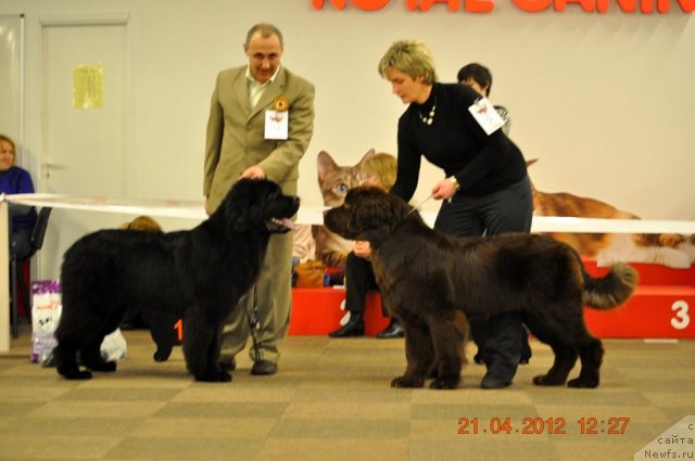 Фотография № 94020