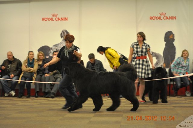 Фотография № 94021