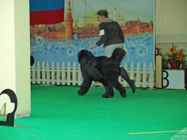 Фотография № 94023