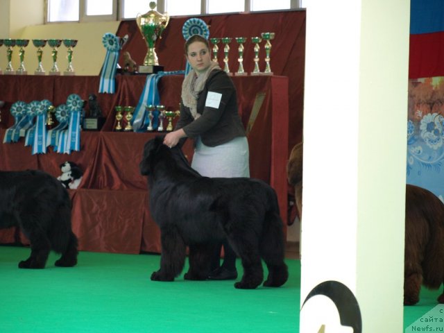 Фотография № 94024