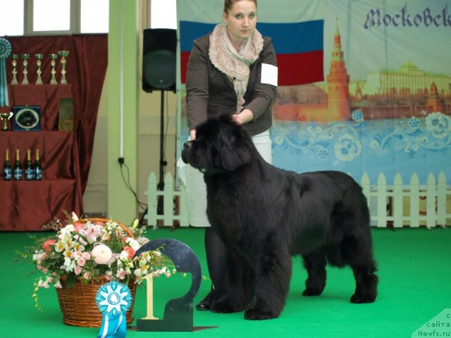 Фотография № 94025