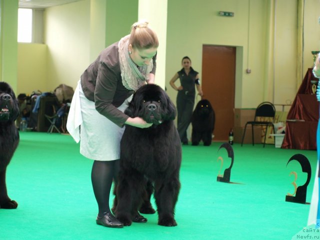 Фотография № 94026