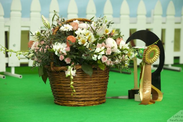 Фотография № 94027