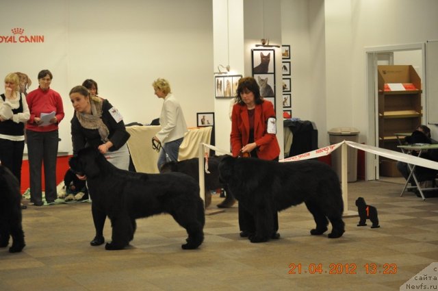 Фотография № 94029