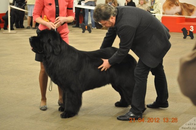 Фотография № 94040