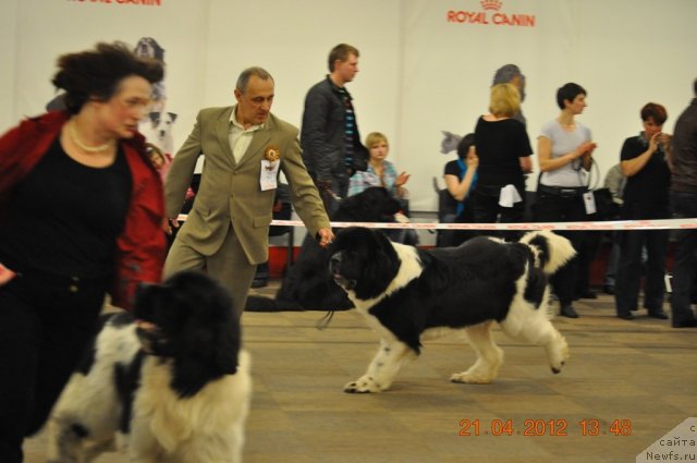 Фотография № 94046