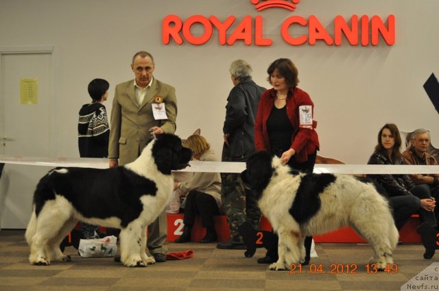 Фотография № 94047