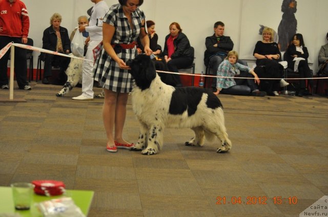 Фотография № 94049